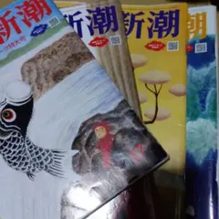 週刊新潮 令和6年5月2•9号16号30号6月6日号 雑誌