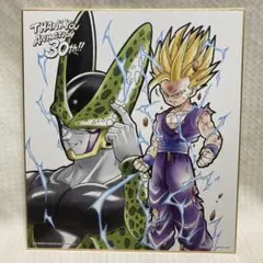 ドラゴンボール アニメ30周年記念 色紙 E賞 一番くじ - メルカリ