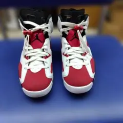 NIKE Air Jordan 6 AJ6 ゲータレード カーマイン27.5cm - メルカリ