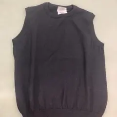 Ray ビームス　ニットベスト 100% エクストラファインメリノウール