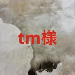 ファミリア　セーラー襟　カットソー　長袖　マリン　ボーダー　ミキハウスリュック