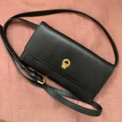 送料込】ゾエ ショルダーバッグ クロスボディ ミニバッグ　コールハーン