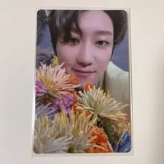 seventeen sector17 the8 ミンハオトレカ