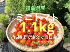 ミニトマト品種大きさmix宅急便コンパクト1.1kg 16時まで注文で当日発送のサムネイル