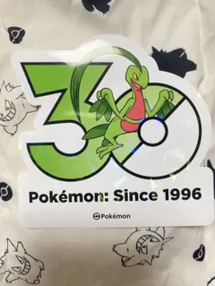 韓国 ポケモン 30周年ステッカー 6枚セット 聖水 ソンス - メルカリ