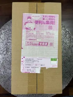 【新品未開封】ポケモンセンター ヒロシマ スペシャルBOX【シュリンク付】