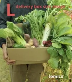 京都の野菜セット L　tomico 詰め合わせ〔メルカリ便〕　z