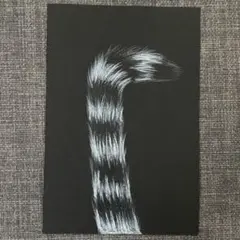 「ねこしっぽ」しっぽ好き 手描き原画 一点物 ポストカードサイズ