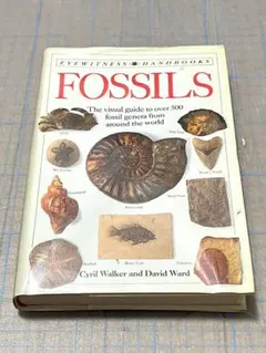 インドネシアの貝類と化石 図鑑「Indonesian Shells」 - メルカリ