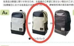 新品未使用 JRA ウェルカムチャンス A賞 バックパック アイボリー