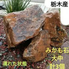 栃木産　みかも石　ゴロっと大 中ダーク系強め 計3個　〜300mm含めのサムネイル