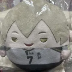 ハイキュー!! くじメイト ぬいくじ C賞 木葉