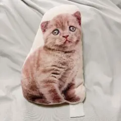 猫 クッション ぬいぐるみ　リアルプリント ねこ　ネコ　雑貨
