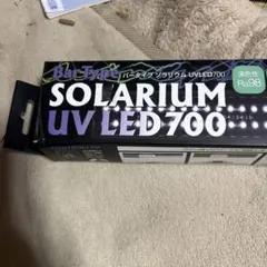 솔라리움 UV LED 700 바디 젠수이