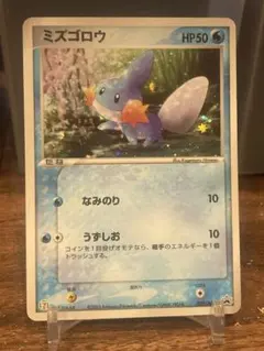 2025年最新】ミズゴロウ psa10の人気アイテム - メルカリ