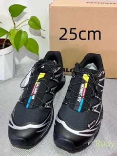 新品未使用SALOMON XT-6スニーカー 25cm 2026年最新】salomon xt-6 25cmの人気アイテム - メルカリ