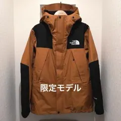 THE NORTH FACE Mountain Jacket WEB限定モデル