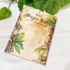 Item thumbnail for item 825c8f10-1b14-4b23-ad44-1b361106139d