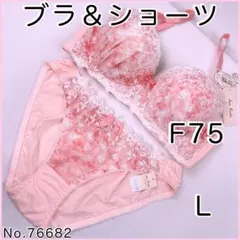 ブラジャーショーツセットF75 No.76682