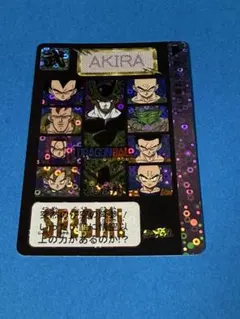 海外製】ドラゴンボール カードダス めちゃんこプロジェクトⅩ - メルカリ