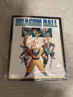 ドラゴンボール ダイバーズ 40周年 9ポケットバインダーセット