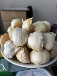 2025年最新】ジャンボにんにくの人気アイテム - メルカリ