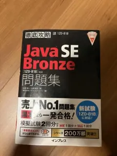 java bronze