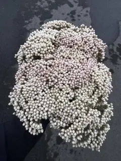 みずたま様 リクエスト 3点 まとめ商品