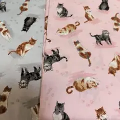 猫の足跡生地 ２メートル シーチング2色セット009