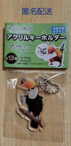 掛川花鳥園　アクリルキーホルダー　ガチャ　オニオオハシ③