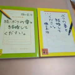 Item thumbnail for item 519cdefe-6c70-4b24-baa1-04f4573382d0