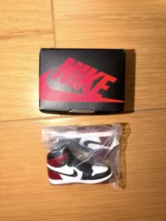 jordan BLACK TOE (While / Red / Black)