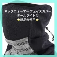 Item thumbnail for item 813384b3-5eea-45bc-9a19-1faa888c4a49