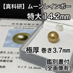 2026年最新】南洋白蝶真珠 ナチュラルゴールデンパール ペンダントの 