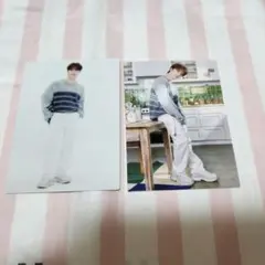 SEVENTEEN's HOME　トレカ　DINO