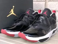 激安 新品ナイキAIR JORDANエアジョーダン人気色Bredステイロイヤル3