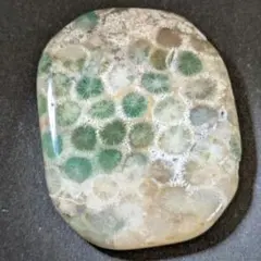 KA-61 コーラルアゲート　天然石　鉱物標本　鉱石　原石　石鳥の石