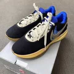 ZOOM 20-5-5AP レブロン 当時物 Nike LeBron Zoom 20-5-5 White Black | eBay