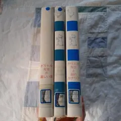 Item thumbnail for item 8093a798-ff33-4201-bde7-cf3a8eed8e34