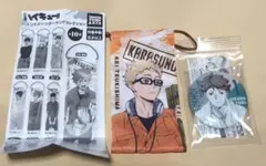 ハイキュー ペイントスーツ ガーランド