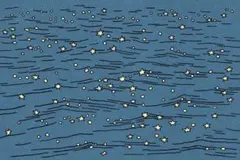 ミ 様専用ページ