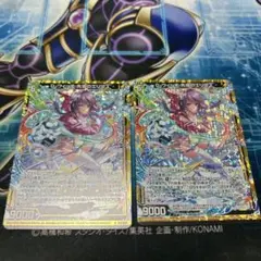 ファイアーエムブレム サイファ B11-016SR 稀代の天才魔道士 ルーテ