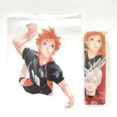 ハイキュークリアカードクリアブックマーク映画ゴミ捨て場日向翔陽リエーフ排球少年