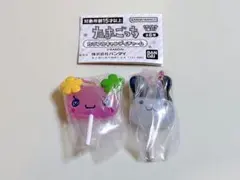 たまごっち　カラフルキャンディチャーム　ふらわっち　みみっち　セット　ガチャ