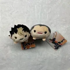 2026年最新】ハイキュー のるキャラ 西谷の人気アイテム - メルカリ