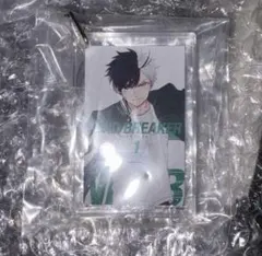 WIND BREAKER 一番くじ 桜