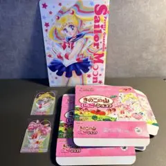 スーパーセーラームーン ＆ スーパーセーラーちびムーン　カード　クリアファイル