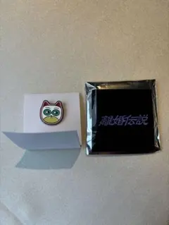 離婚伝説 RIKON BUDOKAN Random Pins ピンズ