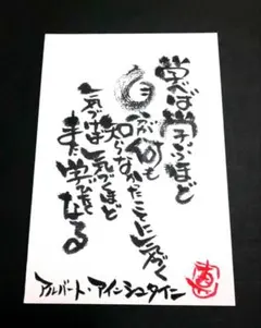 〈アルバート・アイシュタイン 〉学べば学ぶほど…（ポストカード）