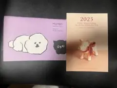 Item thumbnail for item 1b8670f8-e1f0-4be8-aa6a-8f7609cbc0d3